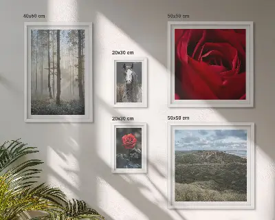 Bildergalerie-Set für die Wand mit verschiedenen Naturblumen-Motiven