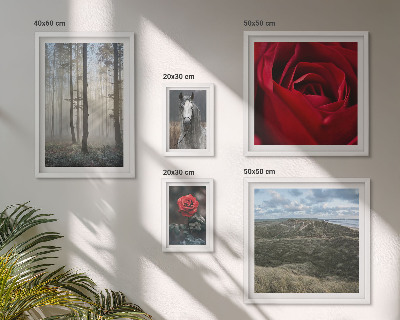 Bildergalerie-set für die wand Naturblumen in verschiedenen Stilen