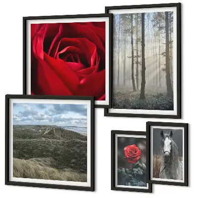 Bildergalerie-Set für die Wand mit verschiedenen Naturblumen-Motiven