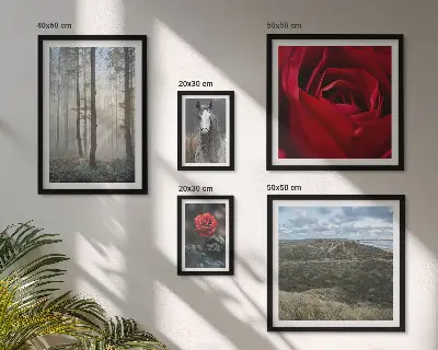 Bildergalerie-Set für die Wand mit verschiedenen Naturblumen-Motiven