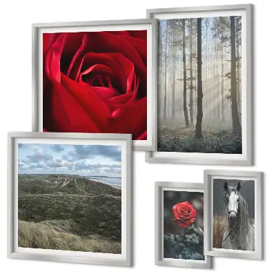 Bildergalerie-Set für die Wand mit verschiedenen Naturblumen-Motiven