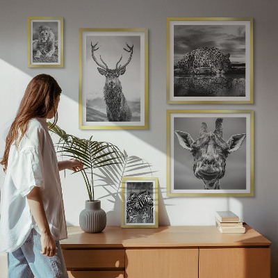 Bildergalerie-set für die wand Schwarz-Weiß-Tiere Natur