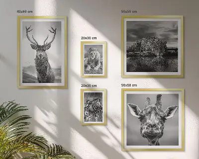 Bildergalerieset für die Wand mit Motiven von Tieren in Schwarz-Weiß