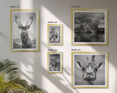 Bildergalerie-set für die wand Schwarz-Weiß-Tiere Natur
