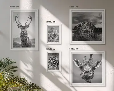 Bildergalerieset für die Wand mit Motiven von Tieren in Schwarz-Weiß