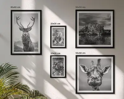 Bildergalerieset für die Wand mit Motiven von Tieren in Schwarz-Weiß