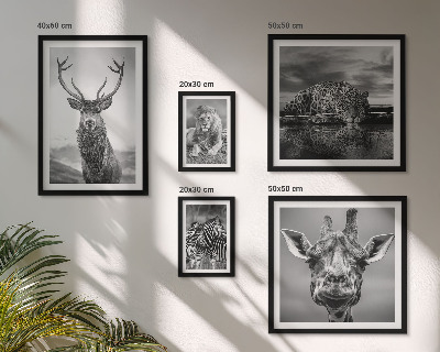Bildergalerie-set für die wand Schwarz-Weiß-Tiere Natur
