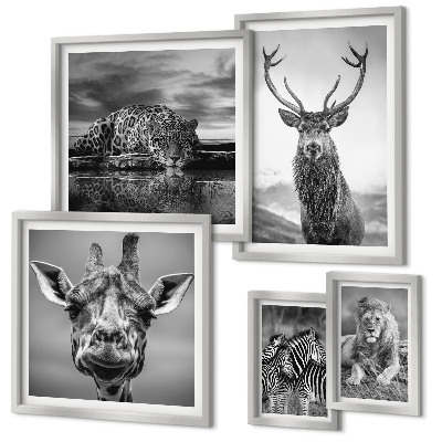 Bildergalerie-set für die wand Schwarz-Weiß-Tiere Natur