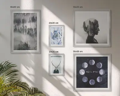 Wandbilder-Set Naturwald mit stimmungsvollen Raummotiven