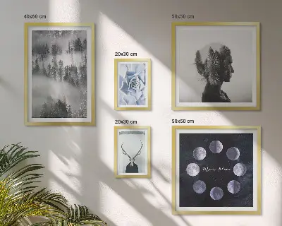 Wandbilder-Set Naturwald mit stimmungsvollen Raummotiven