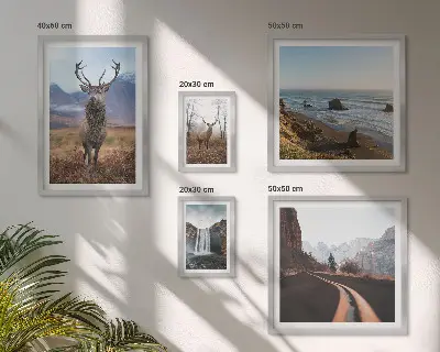 Bilderset fürs Sofa mit Motiven aus Natur, Wildtieren und Landschaften