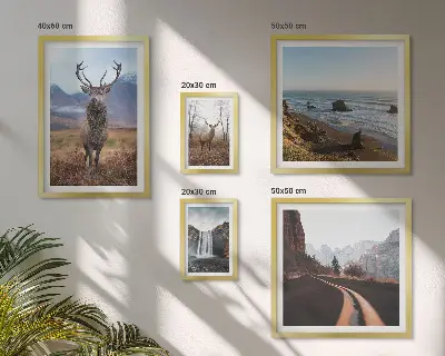Bilderset fürs Sofa mit Motiven aus Natur, Wildtieren und Landschaften
