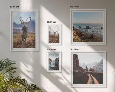 Bilderset fürs Sofa mit Motiven aus Natur, Wildtieren und Landschaften