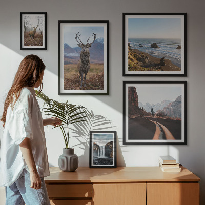 Bilderset fürs sofa Natur, Wildtiere, Landschaften