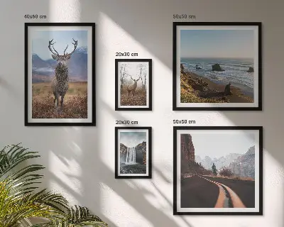Bilderset fürs Sofa mit Motiven aus Natur, Wildtieren und Landschaften