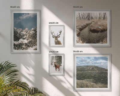 Bildergalerie-set für die wand Wilde Natur, majestätische Berge