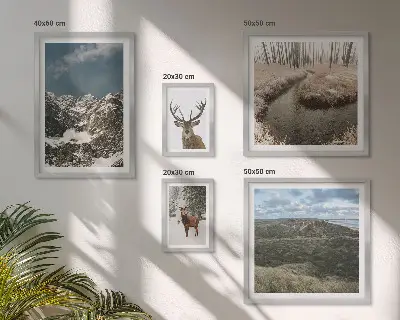 Bildergalerie-Set für die Wand wilde Natur und majestätische Berge