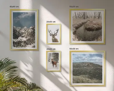Bildergalerie-Set für die Wand wilde Natur und majestätische Berge