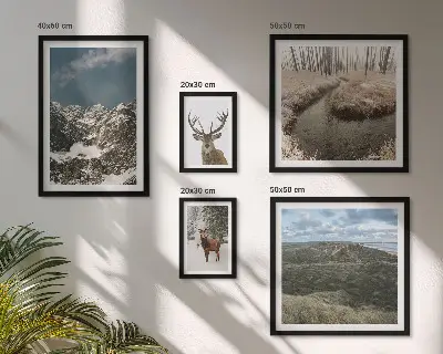 Bildergalerie-Set für die Wand wilde Natur und majestätische Berge