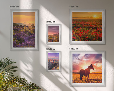 Bilderset fürs sofa Naturlandschaften, Pferde, Blumen