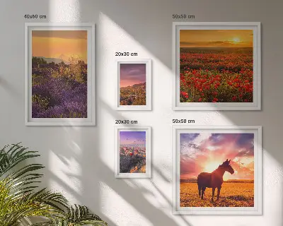 Bilderset fürs Sofa mit Naturlandschaften, Pferden und Blumen