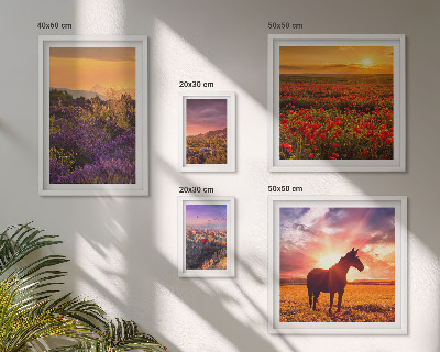 Bilderset fürs sofa Naturlandschaften, Pferde, Blumen