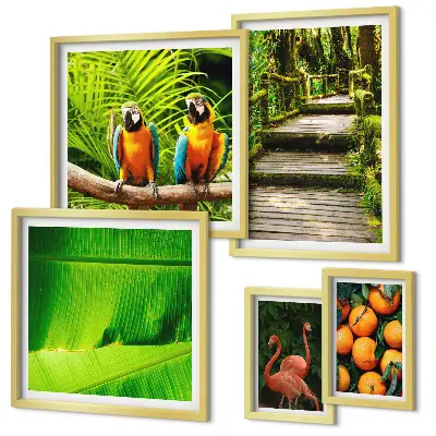 Modernes Wandbilderset mit Motiven tropischer Früchte