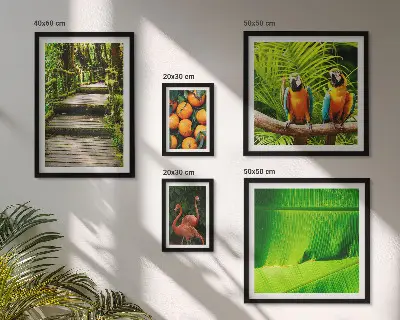 Modernes Wandbilderset mit Motiven tropischer Früchte