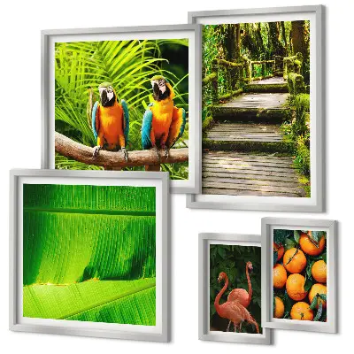 Modernes Wandbilderset mit Motiven tropischer Früchte