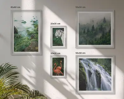 Bilderset fürs Sofa mit Motiven aus Natur, Wildtieren und Landschaften