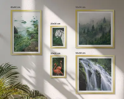 Bilderset fürs Sofa mit Motiven aus Natur, Wildtieren und Landschaften