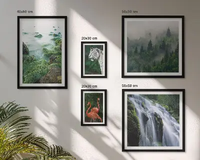Bilderset fürs Sofa mit Motiven aus Natur, Wildtieren und Landschaften