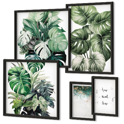 Bildergalerie-set für die wand Moderne Pflanzeninspirationen