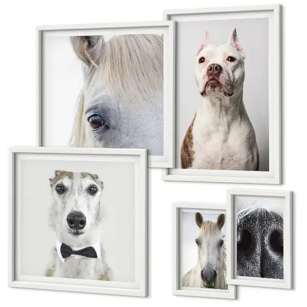 Moderne Tierporträts Bildergalerie-Set für die Wand