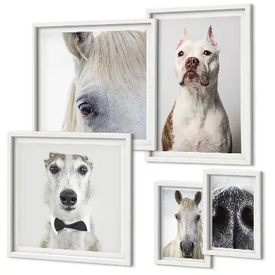 Moderne Tierporträts Bildergalerie-Set für die Wand