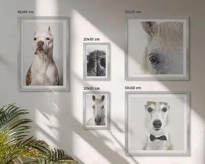 Moderne Tierporträts Bildergalerie-Set für die Wand