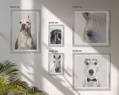 Bildergalerie-set für die wand Moderne Tierporträts