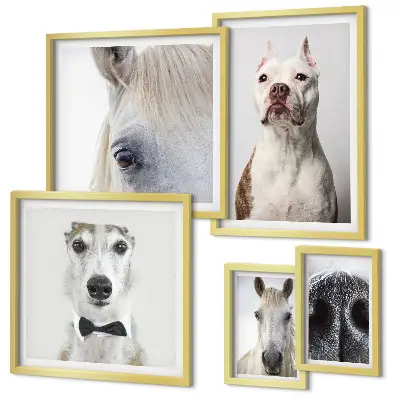Moderne Tierporträts Bildergalerie-Set für die Wand