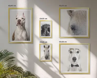 Moderne Tierporträts Bildergalerie-Set für die Wand