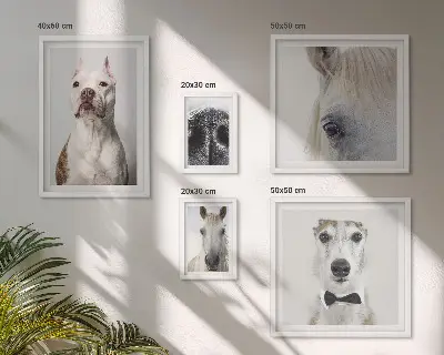 Moderne Tierporträts Bildergalerie-Set für die Wand