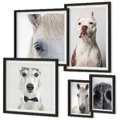 Moderne Tierporträts Bildergalerie-Set für die Wand