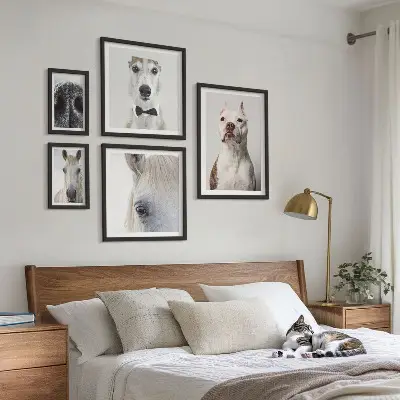 Moderne Tierporträts Bildergalerie-Set für die Wand