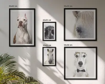 Moderne Tierporträts Bildergalerie-Set für die Wand