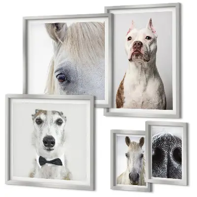 Moderne Tierporträts Bildergalerie-Set für die Wand