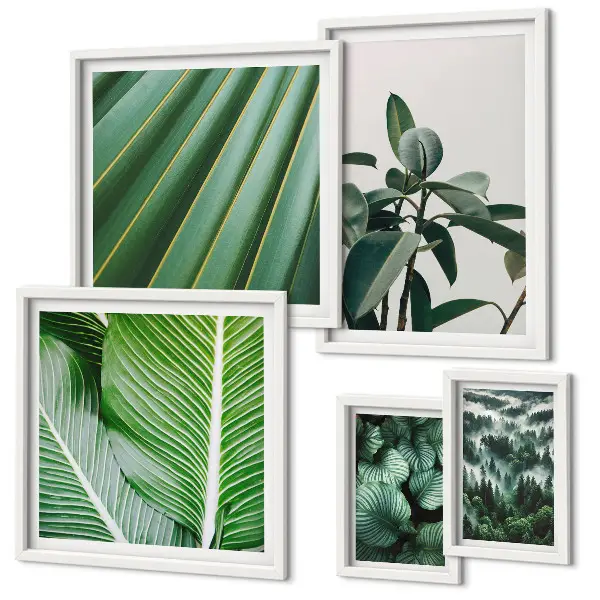 Bildergalerieset für die Wand mit Motiven von tropischen Pflanzen