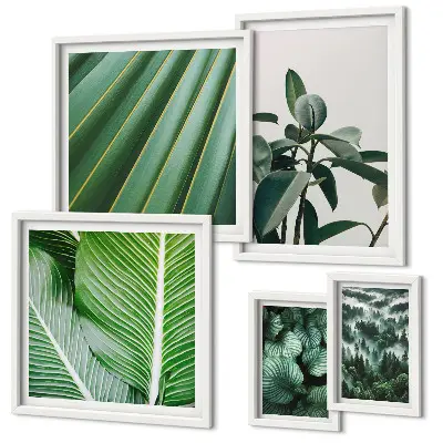 Bildergalerieset für die Wand mit Motiven von tropischen Pflanzen