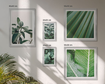 Bildergalerie-set für die wand Inspirationen durch tropische Pflanzen