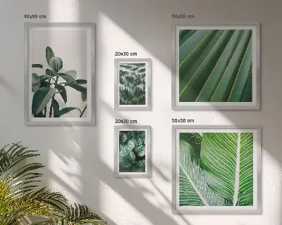 Bildergalerieset für die Wand mit Motiven von tropischen Pflanzen