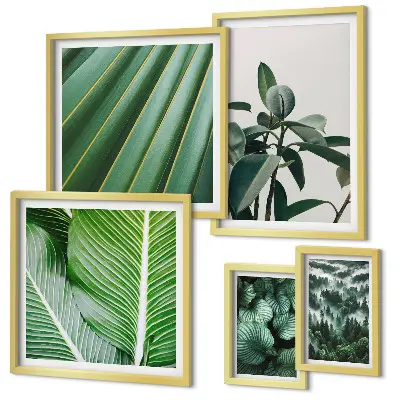Bildergalerieset für die Wand mit Motiven von tropischen Pflanzen