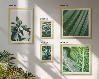 Bildergalerieset für die Wand mit Motiven von tropischen Pflanzen